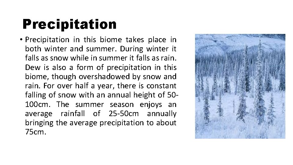 Precipitation • Precipitation in this biome takes place in both winter and summer. During