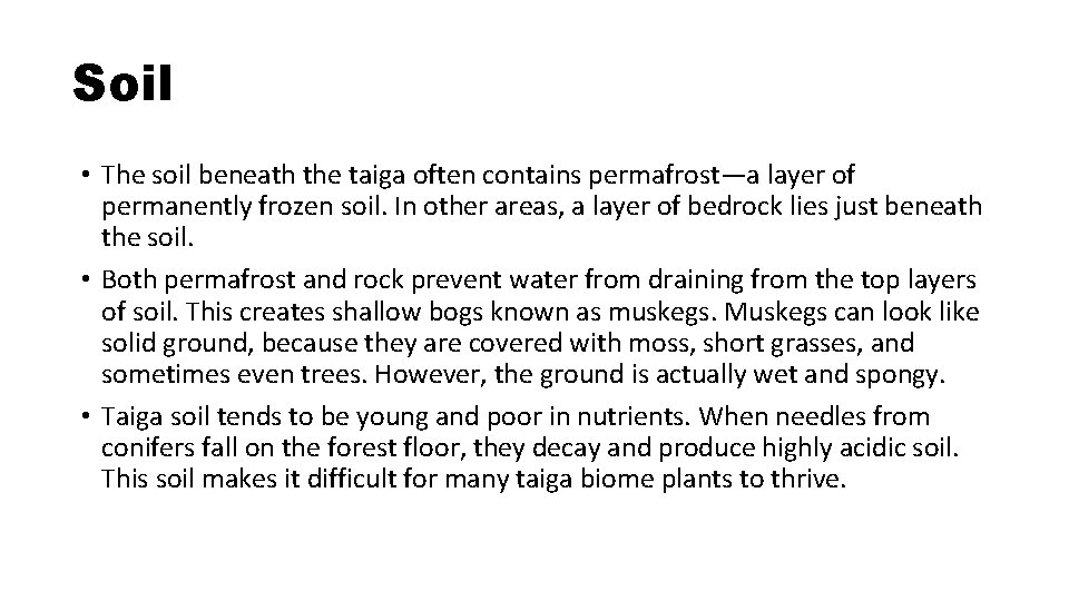 Soil • The soil beneath the taiga often contains permafrost—a layer of permanently frozen