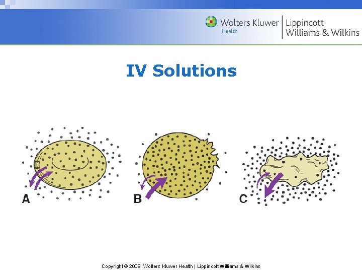 IV Solutions Copyright © 2009 Wolters Kluwer Health | Lippincott Williams & Wilkins 