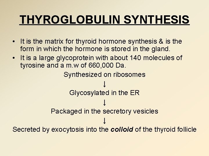 THYROGLOBULIN SYNTHESIS • It is the matrix for thyroid hormone synthesis & is the