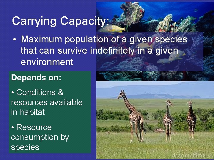 Carrying Capacity: • Maximum population of a given species that can survive indefinitely in