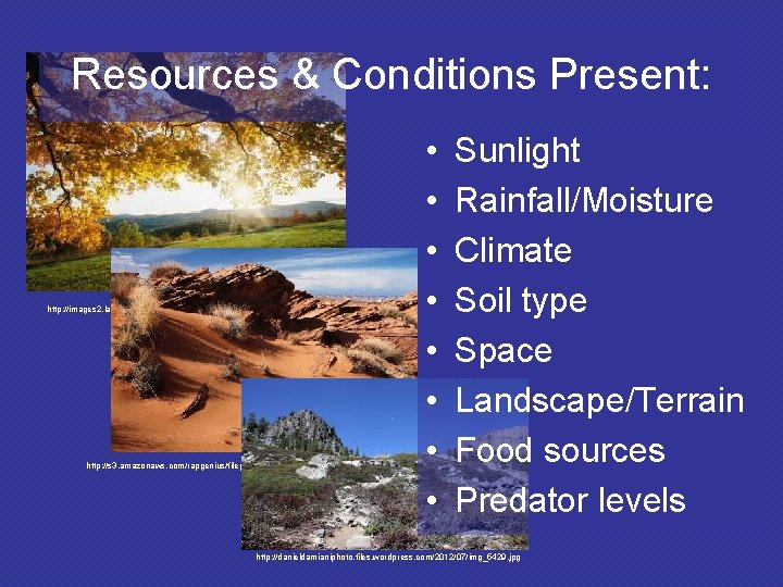 Resources & Conditions Present: http: //images 2. layoutsparks. com/1/175362/sunlight-trees-woods. jpg • • http: //s