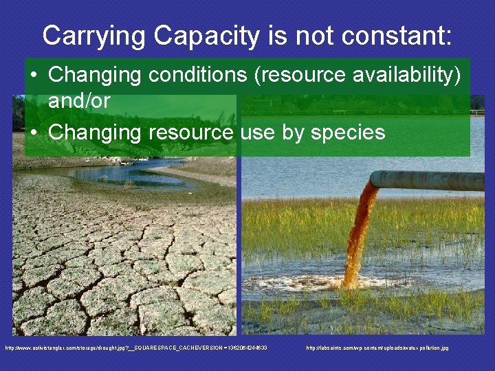 Carrying Capacity is not constant: • Changing conditions (resource availability) and/or • Changing resource