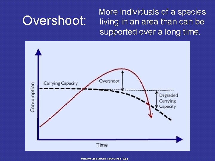 Overshoot: More individuals of a species living in an area than can be supported