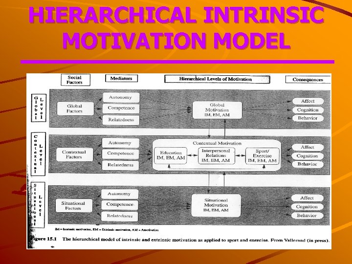 HIERARCHICAL INTRINSIC MOTIVATION MODEL 