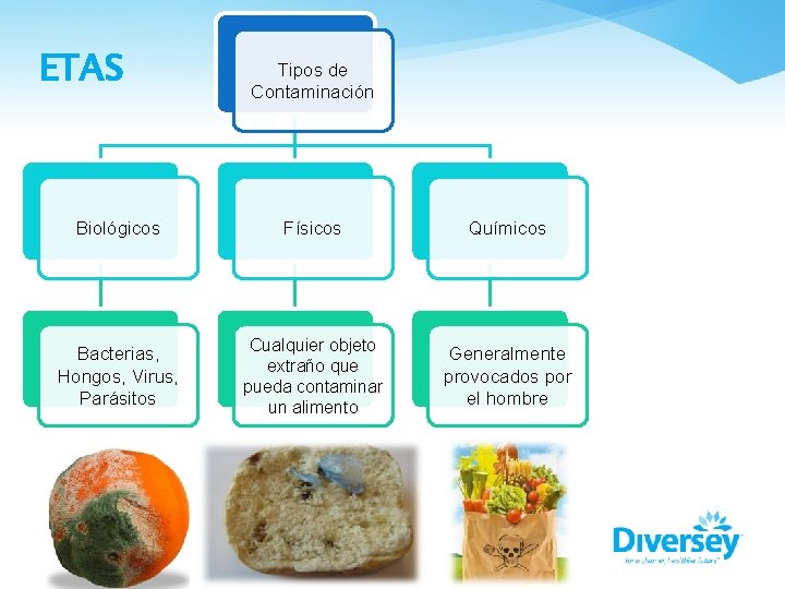 ETAS Tipos de Contaminación Biológicos Físicos Químicos Bacterias, Hongos, Virus, Parásitos Cualquier objeto extraño