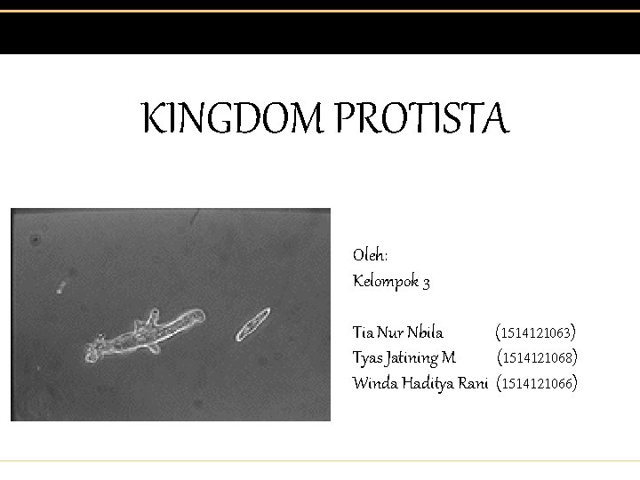 Kingdom Protista Oleh Kelompok 3 Tia Nur Nbila
