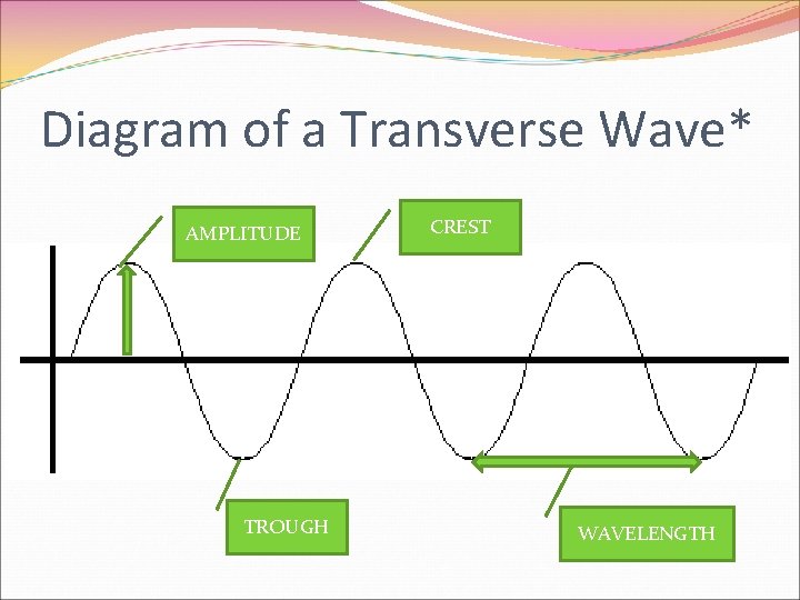 Diagram of a Transverse Wave* AMPLITUDE TROUGH CREST WAVELENGTH 