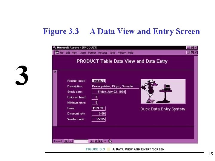 Figure 3. 3 A Data View and Entry Screen 3 15 