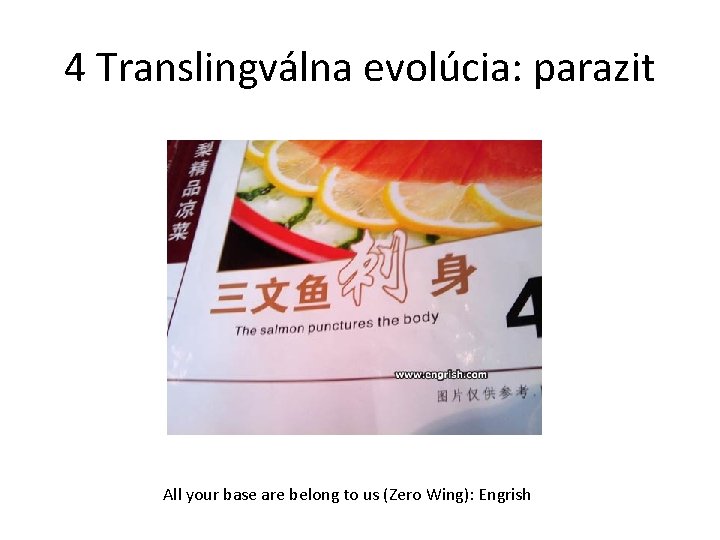 4 Translingválna evolúcia: parazit All your base are belong to us (Zero Wing): Engrish