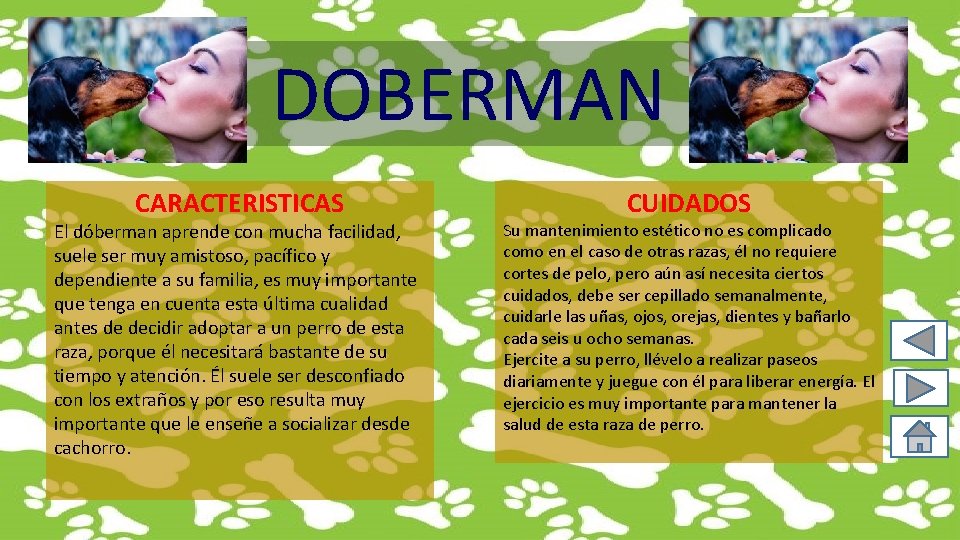 DOBERMAN CARACTERISTICAS El dóberman aprende con mucha facilidad, suele ser muy amistoso, pacífico y