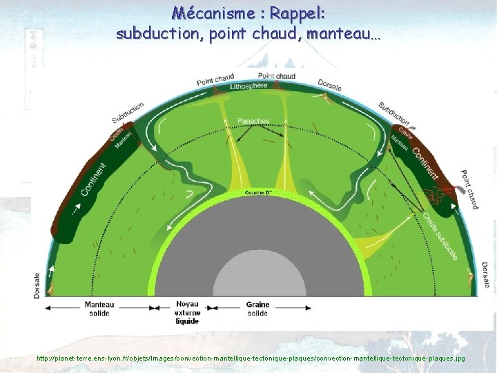 Mécanisme : Rappel: subduction, point chaud, manteau… © U. Laval http: //planet-terre. ens-lyon. fr/objets/Images/convection-mantellique-tectonique-plaques.