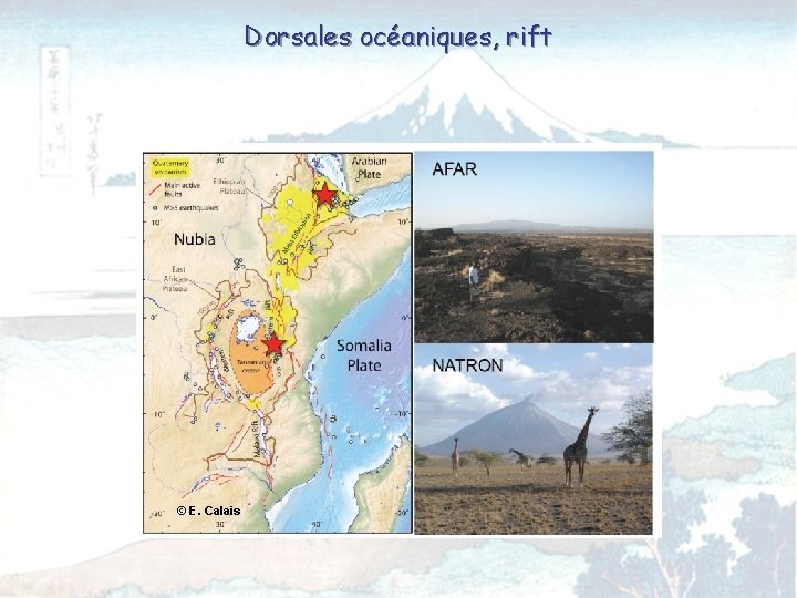 Dorsales océaniques, rift © E. Calais 