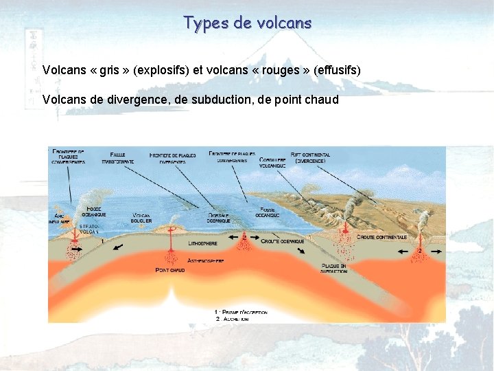 Types de volcans Volcans « gris » (explosifs) et volcans « rouges » (effusifs)