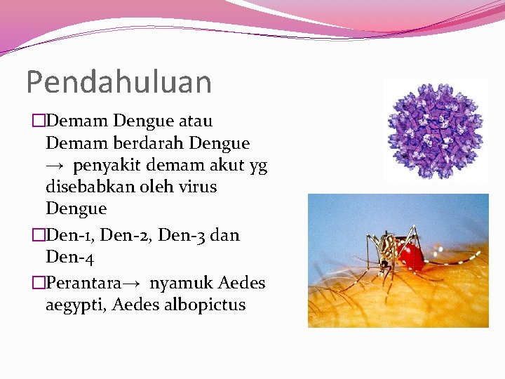 Pendahuluan �Demam Dengue atau Demam berdarah Dengue → penyakit demam akut yg disebabkan oleh