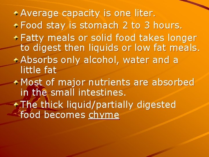 Average capacity is one liter. Food stay is stomach 2 to 3 hours. Fatty