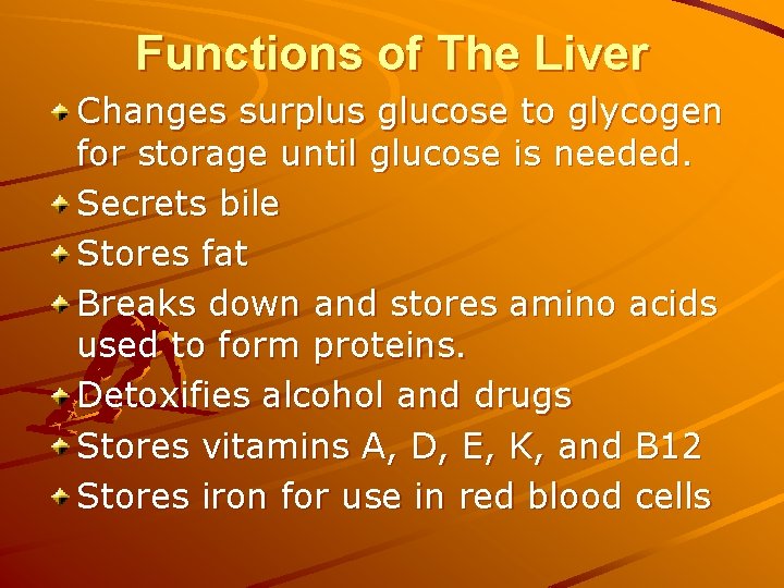 Functions of The Liver Changes surplus glucose to glycogen for storage until glucose is