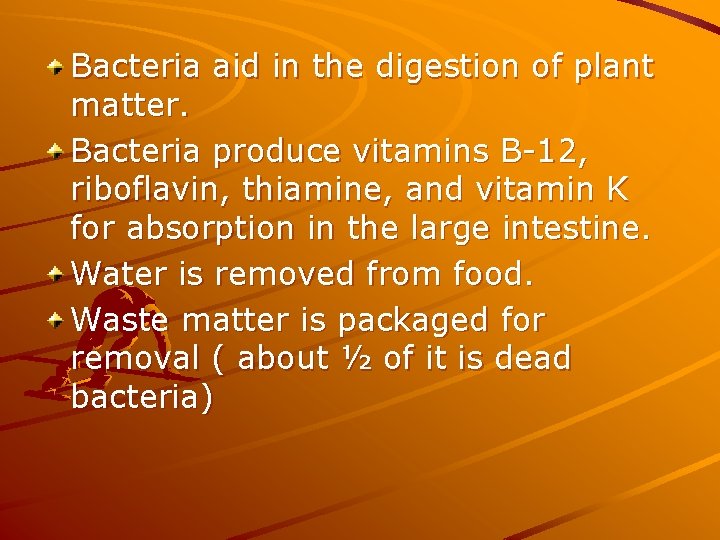 Bacteria aid in the digestion of plant matter. Bacteria produce vitamins B-12, riboflavin, thiamine,