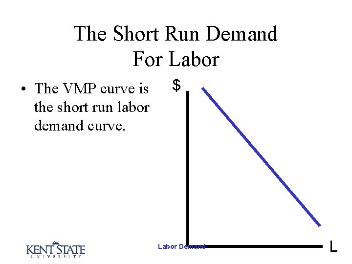 The Short Run Demand For Labor • The VMP curve is the short run