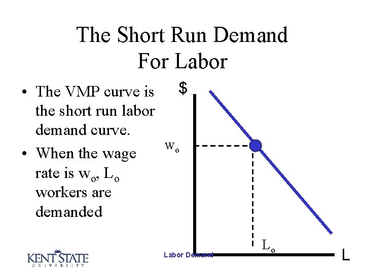 The Short Run Demand For Labor • The VMP curve is $ the short The Short Run Demand For Labor • The VMP curve is $ the short