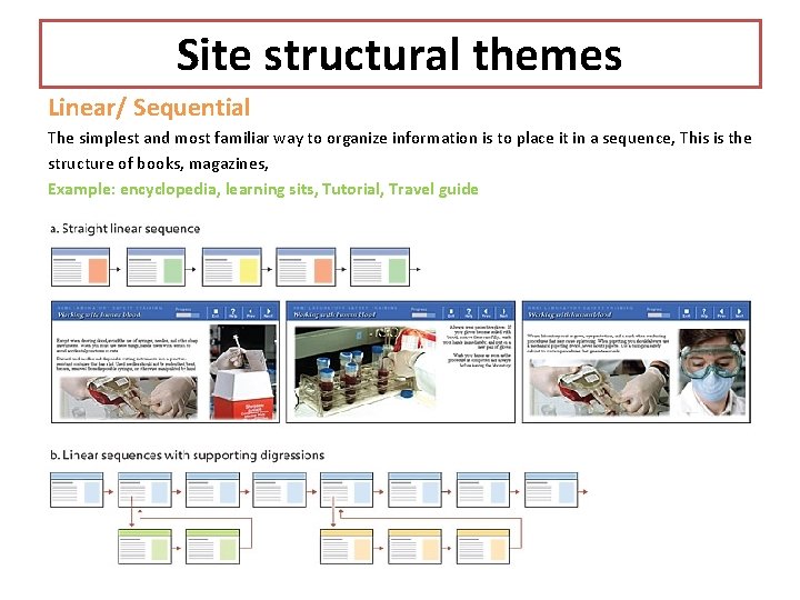 Site structural themes Linear/ Sequential The simplest and most familiar way to organize information