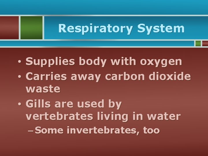 Respiratory System • Supplies body with oxygen • Carries away carbon dioxide waste •