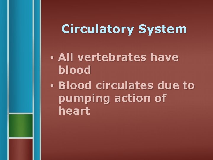 Circulatory System • All vertebrates have blood • Blood circulates due to pumping action