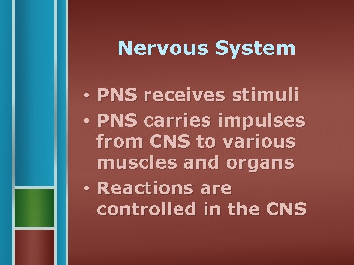 Nervous System • PNS receives stimuli • PNS carries impulses from CNS to various