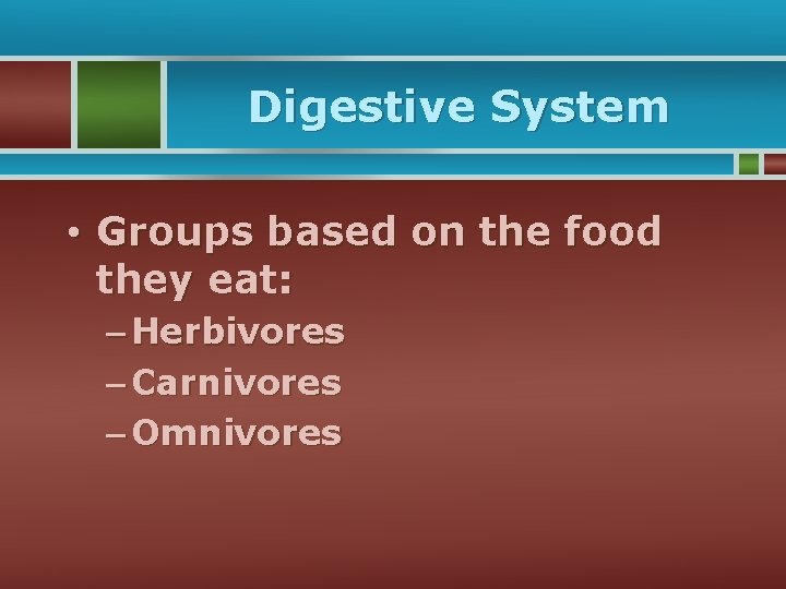 Digestive System • Groups based on the food they eat: – Herbivores – Carnivores