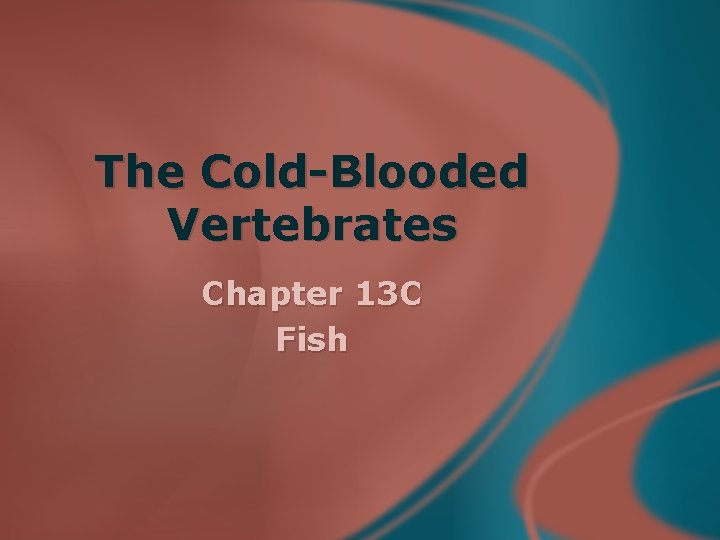 The Cold-Blooded Vertebrates Chapter 13 C Fish 