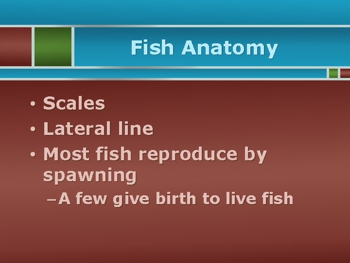 Fish Anatomy • Scales • Lateral line • Most fish reproduce by spawning –