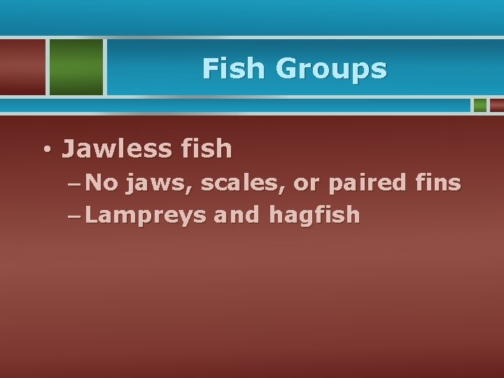 Fish Groups • Jawless fish – No jaws, scales, or paired fins – Lampreys