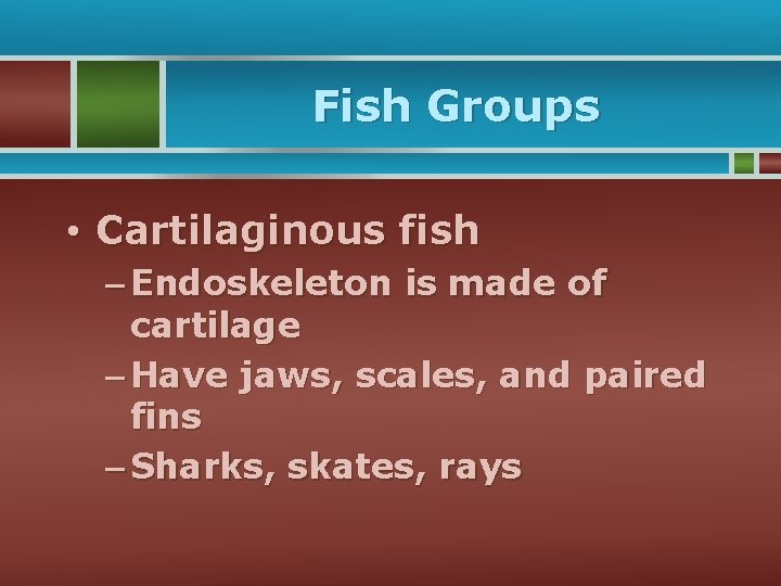 Fish Groups • Cartilaginous fish – Endoskeleton is made of cartilage – Have jaws,