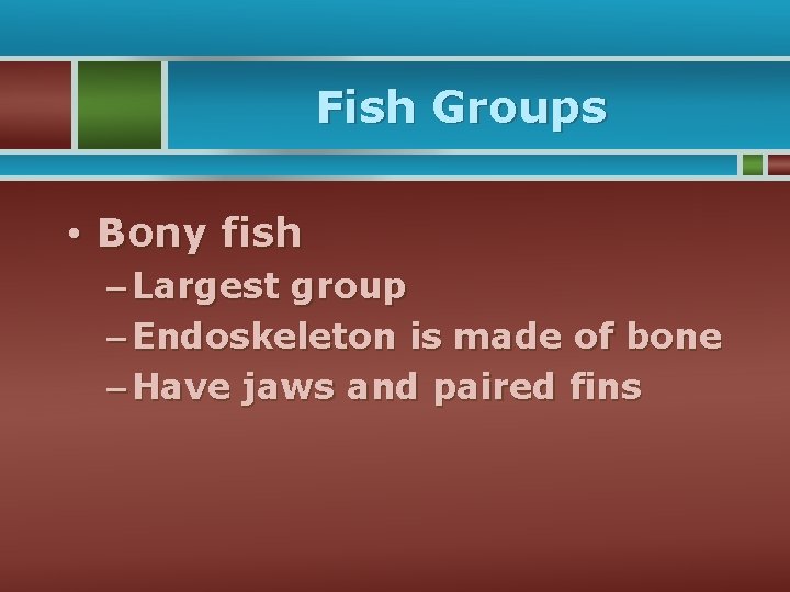 Fish Groups • Bony fish – Largest group – Endoskeleton is made of bone