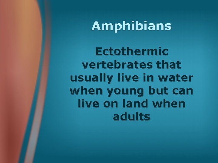 Amphibians Ectothermic vertebrates that usually live in water when young but can live on