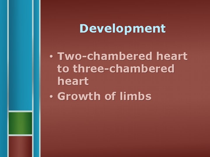 Development • Two-chambered heart to three-chambered heart • Growth of limbs 