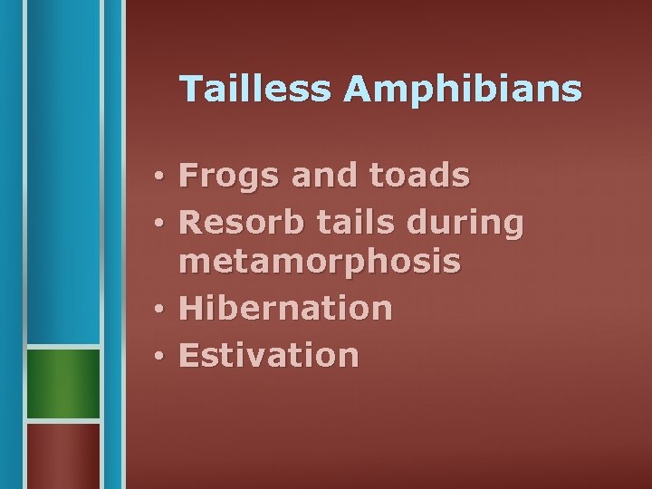 Tailless Amphibians • Frogs and toads • Resorb tails during metamorphosis • Hibernation •