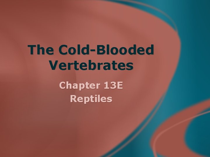 The Cold-Blooded Vertebrates Chapter 13 E Reptiles 