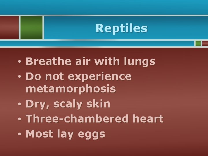 Reptiles • Breathe air with lungs • Do not experience metamorphosis • Dry, scaly