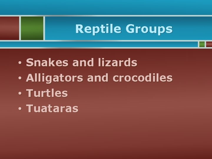 Reptile Groups • • Snakes and lizards Alligators and crocodiles Turtles Tuataras 