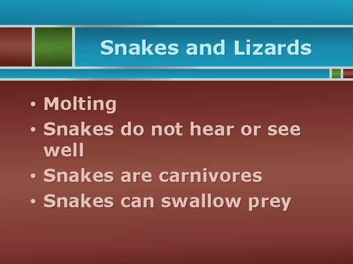 Snakes and Lizards • Molting • Snakes do not hear or see well •