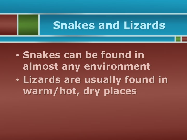 Snakes and Lizards • Snakes can be found in almost any environment • Lizards