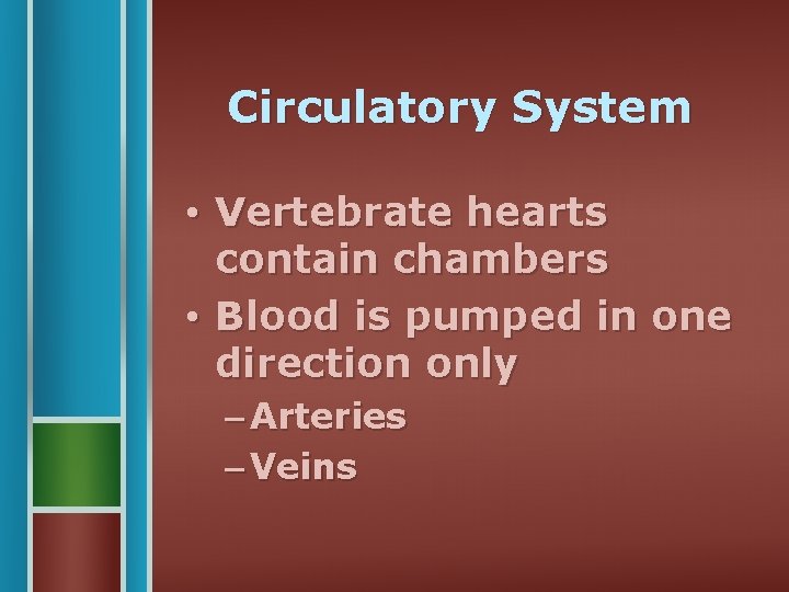 Circulatory System • Vertebrate hearts contain chambers • Blood is pumped in one direction