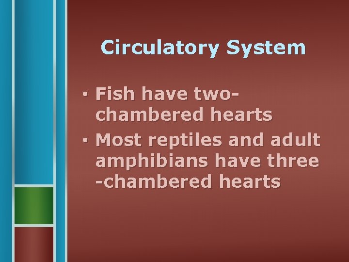 Circulatory System • Fish have twochambered hearts • Most reptiles and adult amphibians have