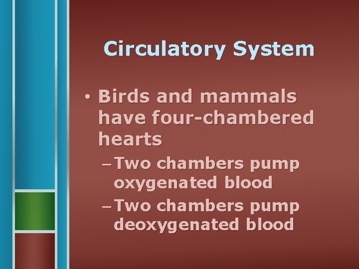 Circulatory System • Birds and mammals have four-chambered hearts – Two chambers pump oxygenated