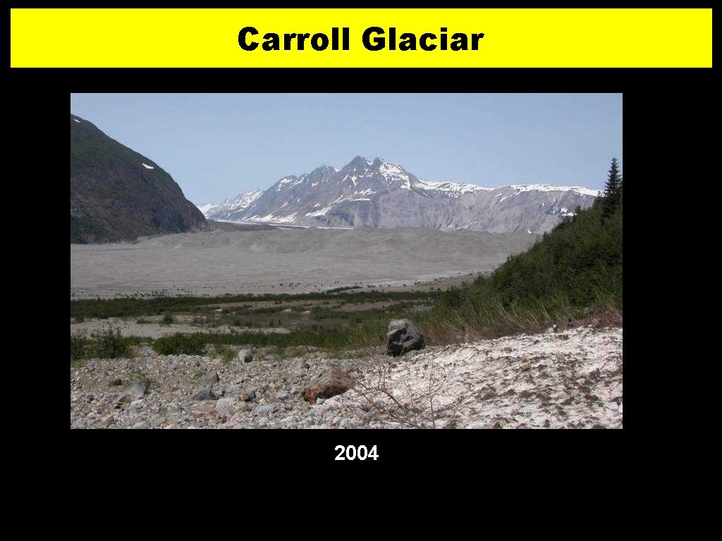 Carroll Glaciar 2004 2 6 