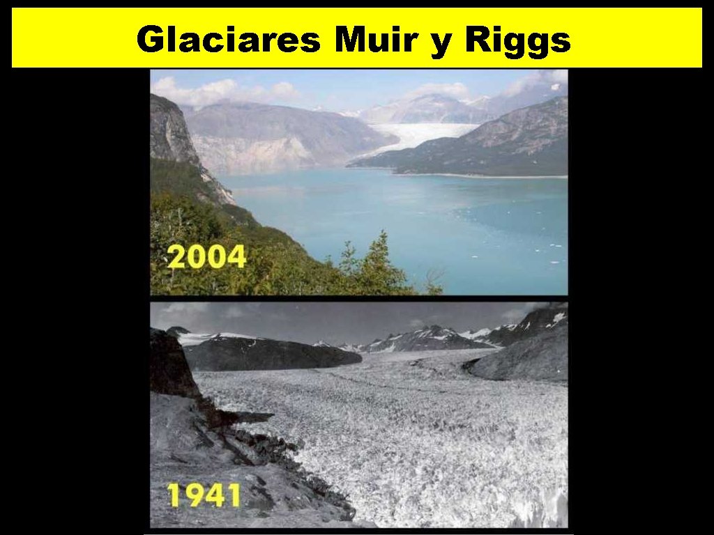 Glaciares Muir y Riggs 2 8 