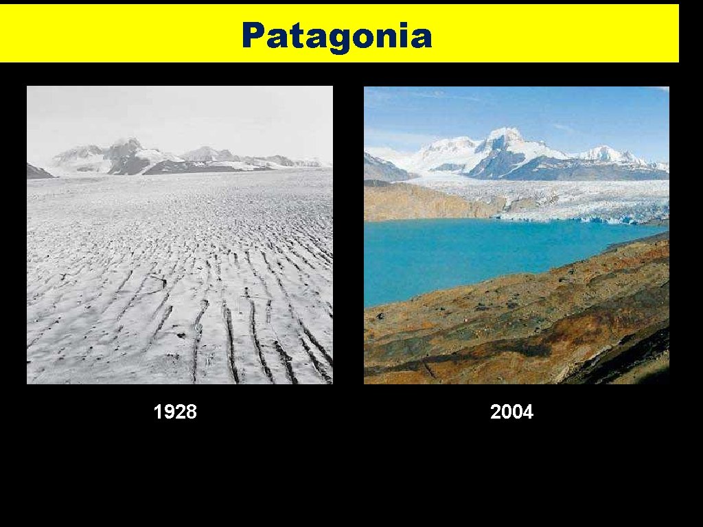 Patagonia 1928 2004 3 1 