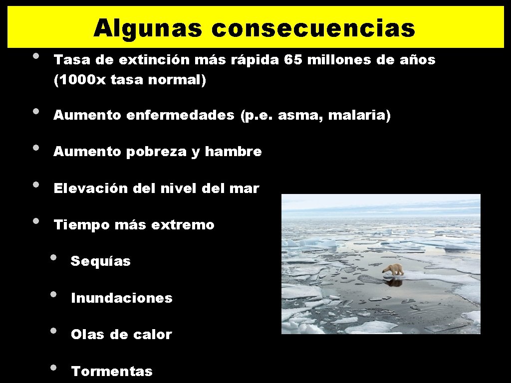 Algunas consecuencias • Tasa de extinción más rápida 65 millones de años (1000 x