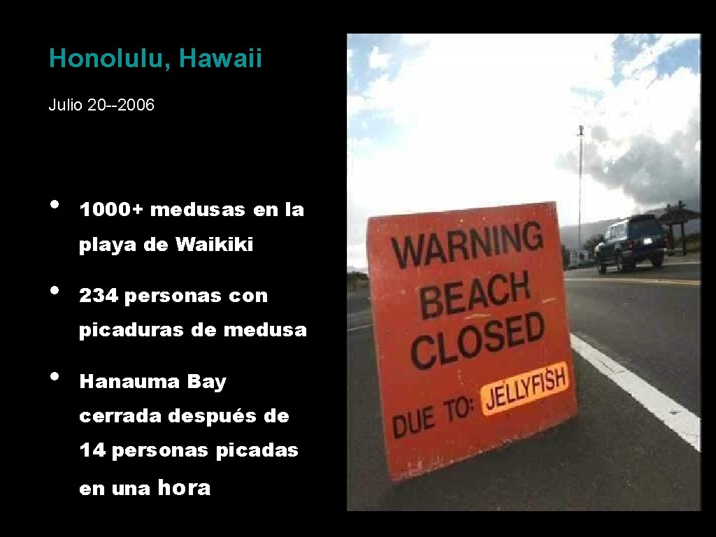 Honolulu, Hawaii Julio 20 --2006 • 1000+ medusas en la playa de Waikiki •